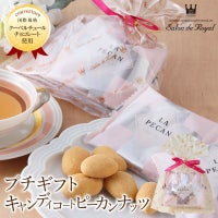 プチギフトキャンディコートピーカンナッツチョコレート