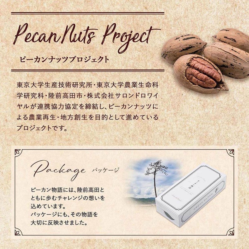 ピーカン物語(ピーカンクッキー)(6枚入り/箱)